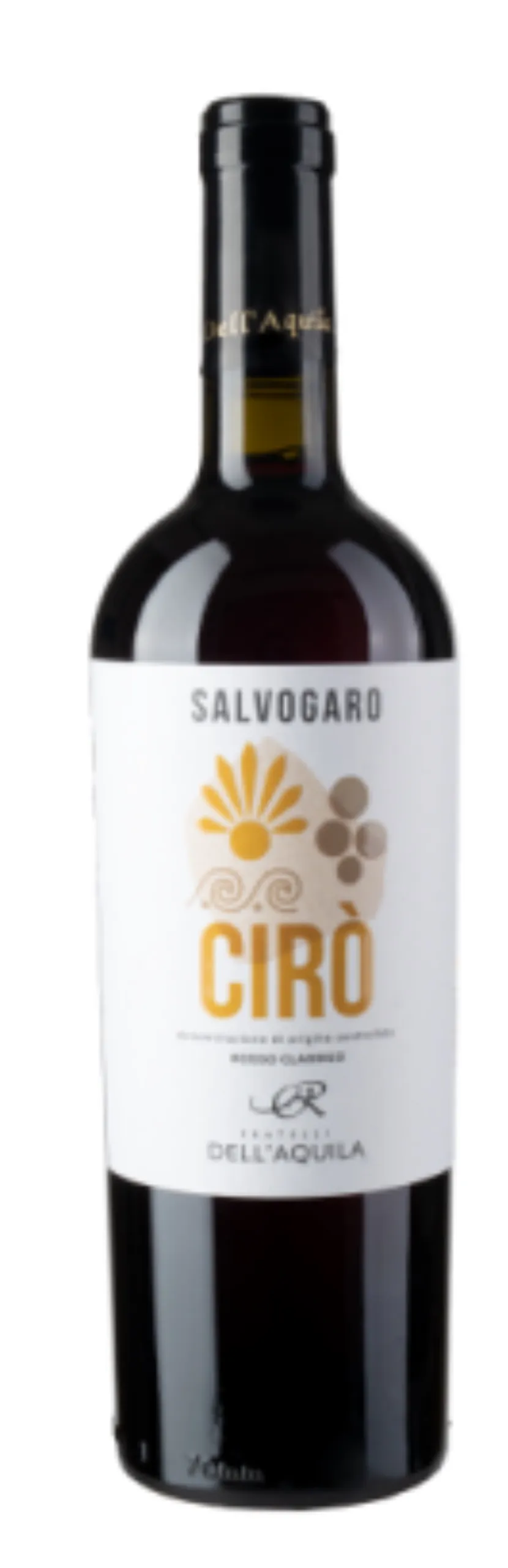 Salvogaro